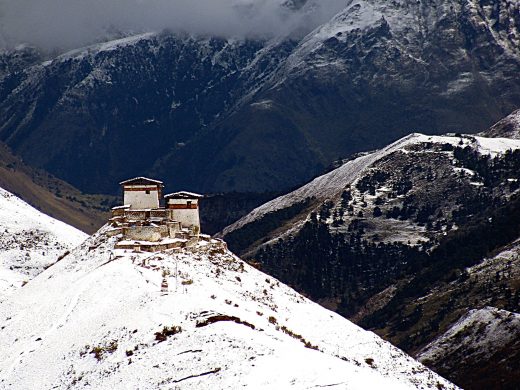 Lingzhi